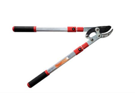 Tijera Para Ramas Mango Telescopico Ferretools